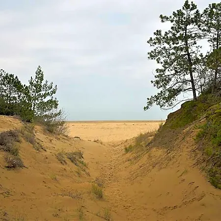 Hotel Peaceful Near The Sea In Lignano *